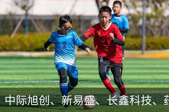 中际旭创、新易盛、长鑫科技、药明康德集体被增持，机构：当前A股不宜过度悲观