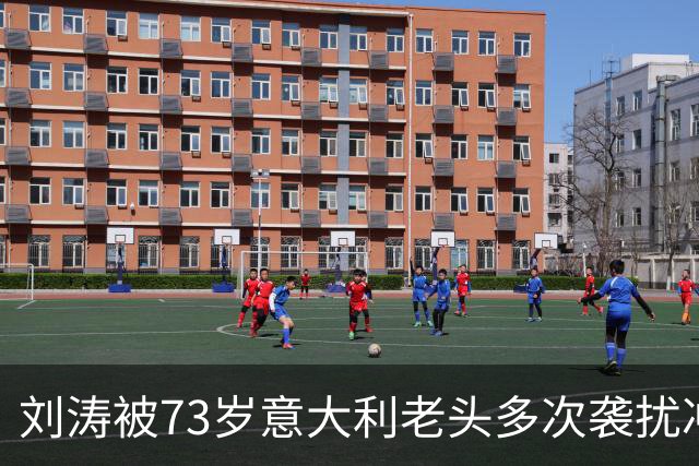 刘涛被73岁意大利老头多次袭扰冲上热搜