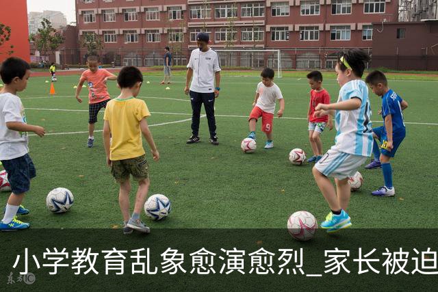 小学教育乱象愈演愈烈 家长被迫负重前行 纯粹义务教育早已偏离初心