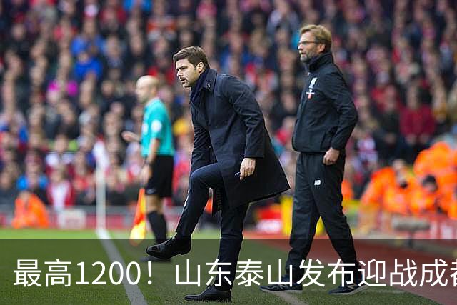 最高1200！山东泰山发布迎战成都蓉城票务，票价普涨，或仍被秒抢