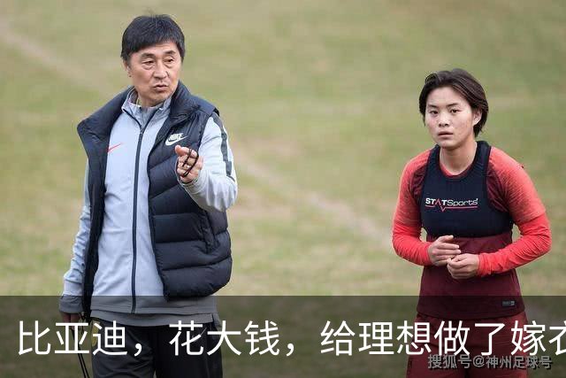 比亚迪，花大钱，给理想做了嫁衣