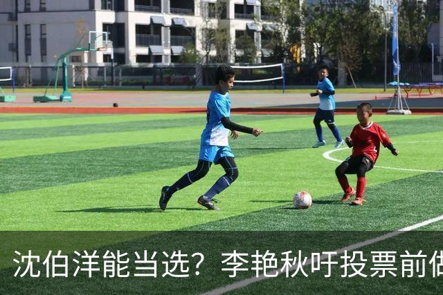 沈伯洋能当选？李艳秋吁投票前做好“三不”：一不看民调、二不看造势、三不看政论
