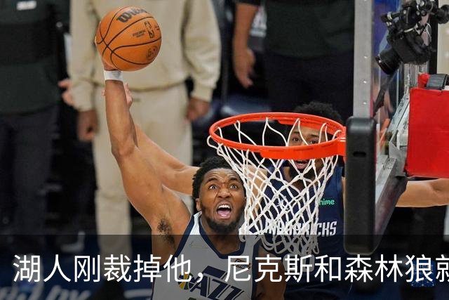 湖人刚裁掉他，尼克斯和森林狼就盯上了