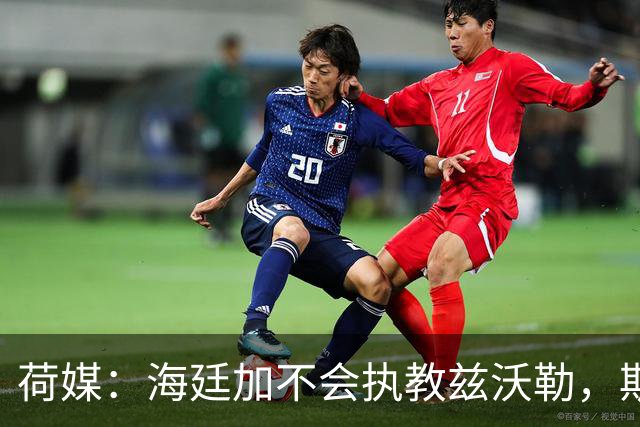 荷媒：海廷加不会执教兹沃勒，斯塔姆也难接手