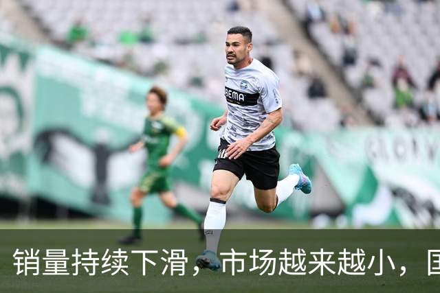 销量持续下滑，市场越来越小，国内车企还能撑多久？