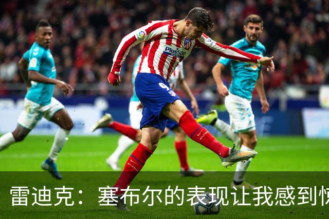 雷迪克：塞布尔的表现让我感到惊喜 他在场对我们来说是很大提升
