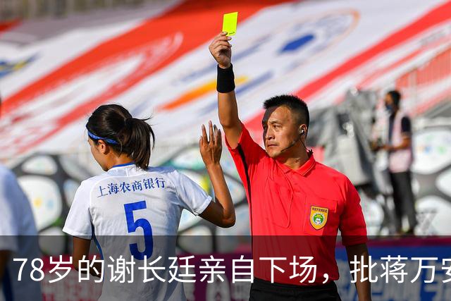 78岁的谢长廷亲自下场，批蒋万安“能力政绩配不上傲慢态度”